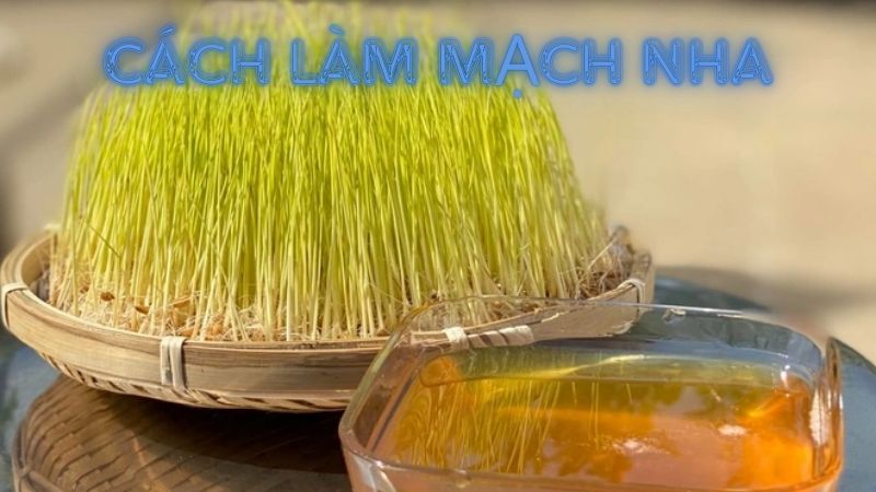 Bí Kíp Cách Làm Mạch Nha Thơm Ngon, Dẻo Mịn Tại Nhà