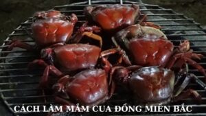 Cách Làm Mắm Cua Đồng Miền Bắc Ngon Lạ Miệng