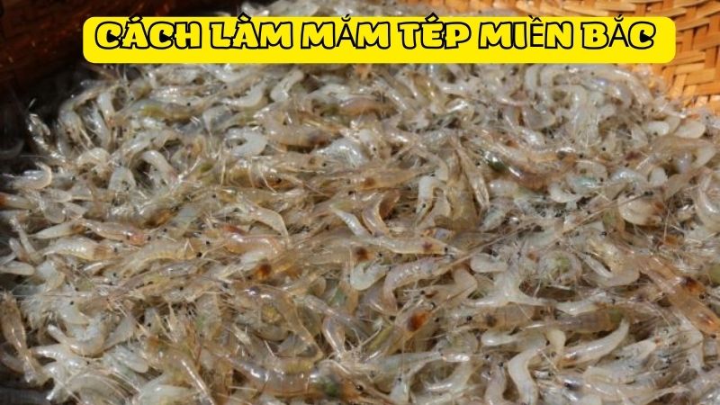 Cách Làm Mắm Tép Miền Bắc Chuẩn Vị